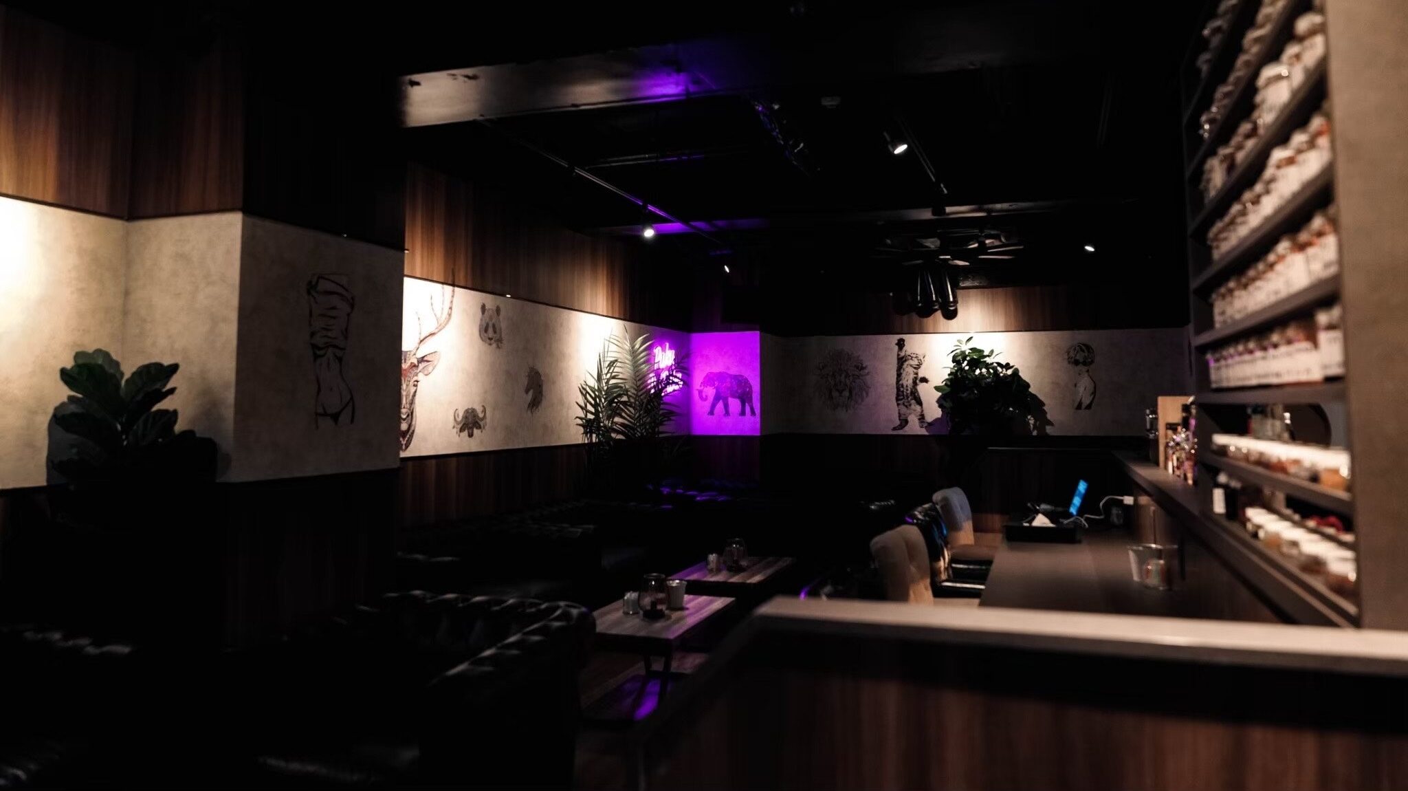 都内のポーカールーム、Pukupkuku新橋の店内画像