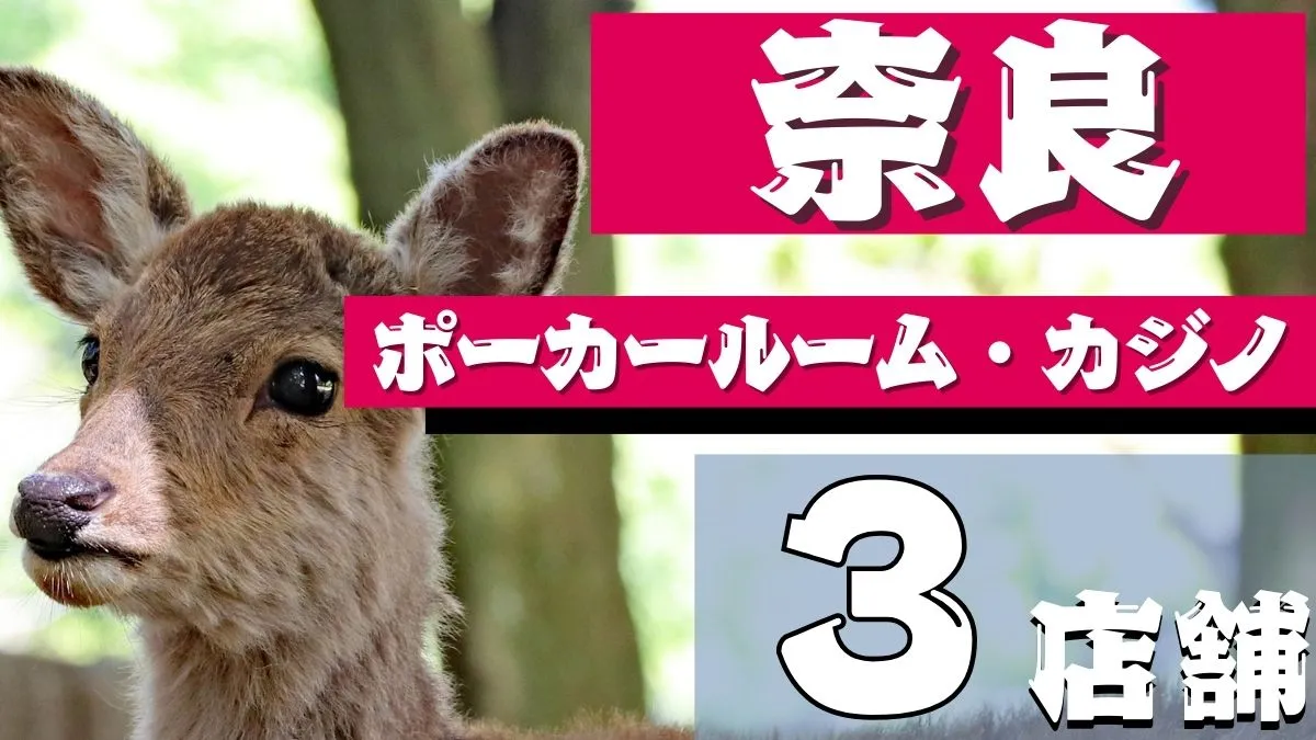 奈良のポーカールーム紹介