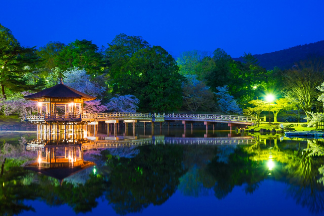 奈良公園の画像
