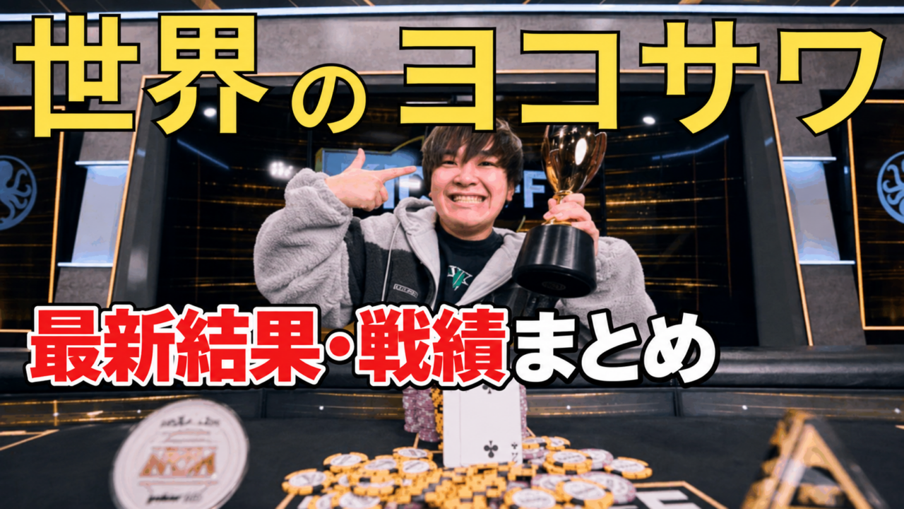 世界のヨコサワ　戦績結果